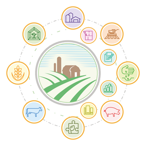 BAS АГРО. ERP - информационные технологии в сельском хозяйстве / бизнес планирование в сельском хозяйстве, компьютерная программа для сельского хозяйства / новітні технології в сільському господарстві, облік сільськогосподарської продукції