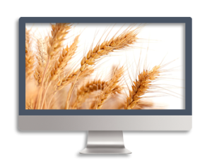 Софт для сельского хозяйства, программное обеспечение